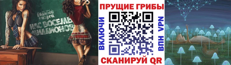 Галлюциногенные грибы прущие грибы Калязин