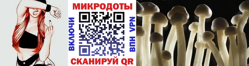 Галлюциногенные грибы Cubensis  Калязин 